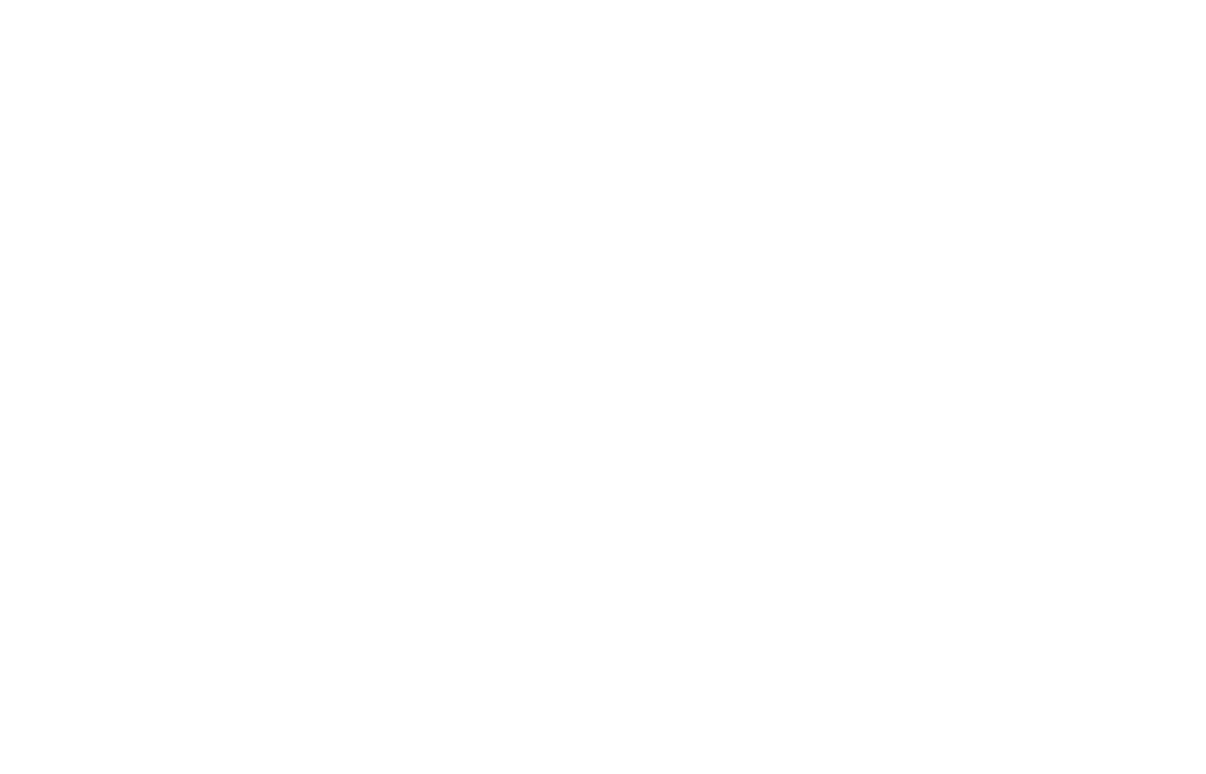 Logo Stake Casino